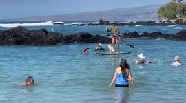 Adorable Pup Rides on a Paddleboard With His Human