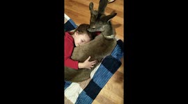 Girl Hugs a Very Docile Deer