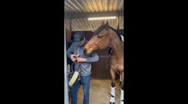 A Sweet Moment Between Horse and Human