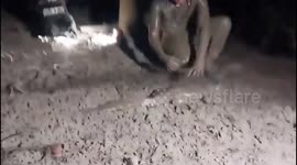 Coast guards save crocodile tangled in fishing net in Costa Rica
