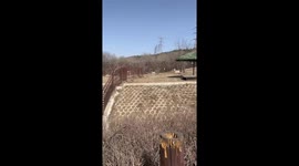 Crane bird flies away as lion chases it in park in China