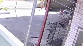 Woman almost loses arm in attack by pit bull hell hound