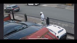 Wholesome moment passerby takes pictures with homeowner's collection of luxury cars