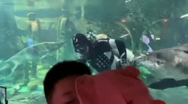 Sturgeon bites aquarium keeper on the head while trying to snatch bag of fish