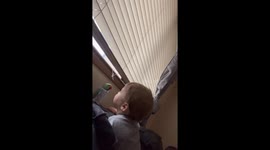 Cute parrot calls kid a 'pretty, pretty boy' as the two adore each other