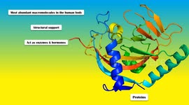 High Protein Vegetables |High Protein Vegetarian Meal |Best Plant Food Sources Of Protein