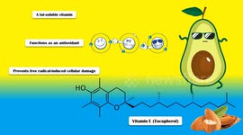 Foods Rich In Vitamin E |Richest Food Sources Of Vitamin E |What Are The  Foods High In Vitamin E