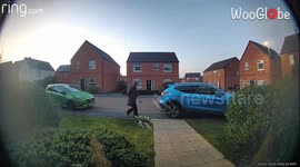 Ring Doorbell catches woman hilariously falling into bushes out of the blue