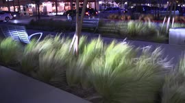 Santa Ana Winds Begin to Pick Up in Mission Hills , LA, USA