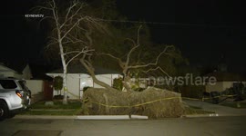 Large Tree Falls on House in Simi Valley, LA, USA