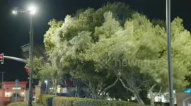 Gusty Strong Winds Hit Fontana, LA, USA