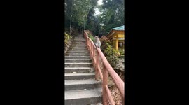 Vacationer's attempt to chat with Langkawi monkey takes a WILD turn