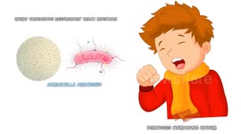 Pertussis (Whooping Cough) - Causes, Signs & Symptoms, Complications, Diagnosis, And Treatment
