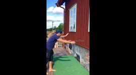 Couple Workout With Dogs