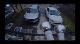 Tree Branch Crushes SUV