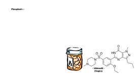 Sildenafil (Viagra) - Side Effects