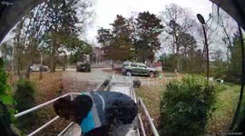 Friendly Hen Scares Away Amazon Driver