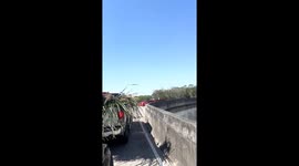Freeloading Bird Hitches a Ride