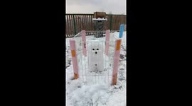 Pet Groomer Crafts Life-like Snow Sculpture in China
