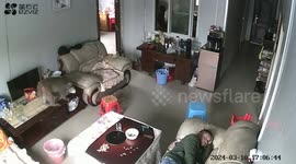 Monkey burglar steals apple while owner sleeps on sofa