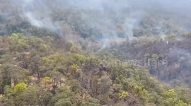Officer battle illegal forest fires overnight in northern Thailand