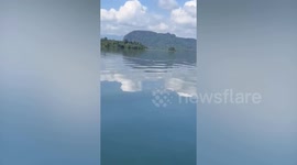 Dog seen swimming in dam in Thailand