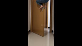 Pet cat has deadpan expression when he finds woman clinging to door playing hide-and-seek