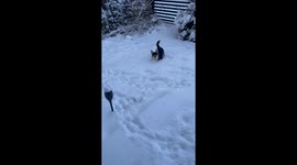 His first snow