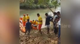Farmer, 36, killed by 12ft long river crocodile in India