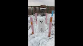 Pet groomer makes life-like snow sculpture of Bichon Frise dog