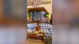 Woman creates miniature homes inspired from TV shows like Stranger things or Full House