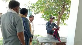 Cobra with mouth superglued shut is rescued in central India