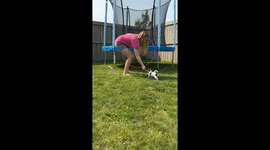 Tiny puppy jumps through a hula hoop while training with kid
