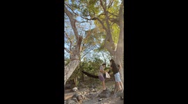 Hammock With a Hole Rips on Couple