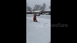 US: T-Rex Shovels Heavy Snow In Arvada, Colorado