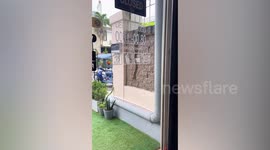 Huge python slithers across wall outside shop in Thailand