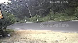 Toddler wanders into road before motorists pull over to help