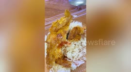 Man finds dead lizard in fried rice and omelette takeout
