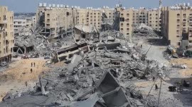 Palestinian death toll in Gaza Strip rises to 31,553