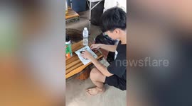 Youngster helps free sparrow stuck in rat glue trap