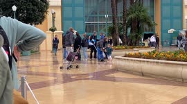 Violent fight breaks out in Disneyland Paris Walt Disney Studios