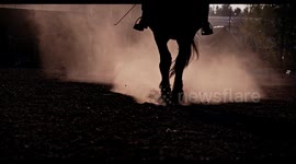 Closeup shot of jockey woman riding on horse on hippodrome.  Legs and horse body. Sport equestrian training