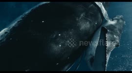 Amazing underwater closeup shot of mother humpback whale and her baby calf swimming away