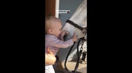Tiny horse hugger: 1-year-old develops special bond with a horse