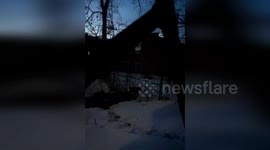 Firemen save deer stuck in nursery fence in Russia