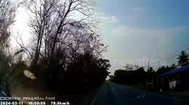 Tree falls onto oncoming family's car in Thailand