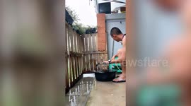 Pet cat takes refreshing bath in basin and water hose