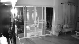 Pet cat head butts sliding door knocking it over... then quickly leaves scene