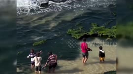 Gaza Children Fish For Food