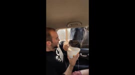 Animal antics & friend fears: a drive-thru safari adventure